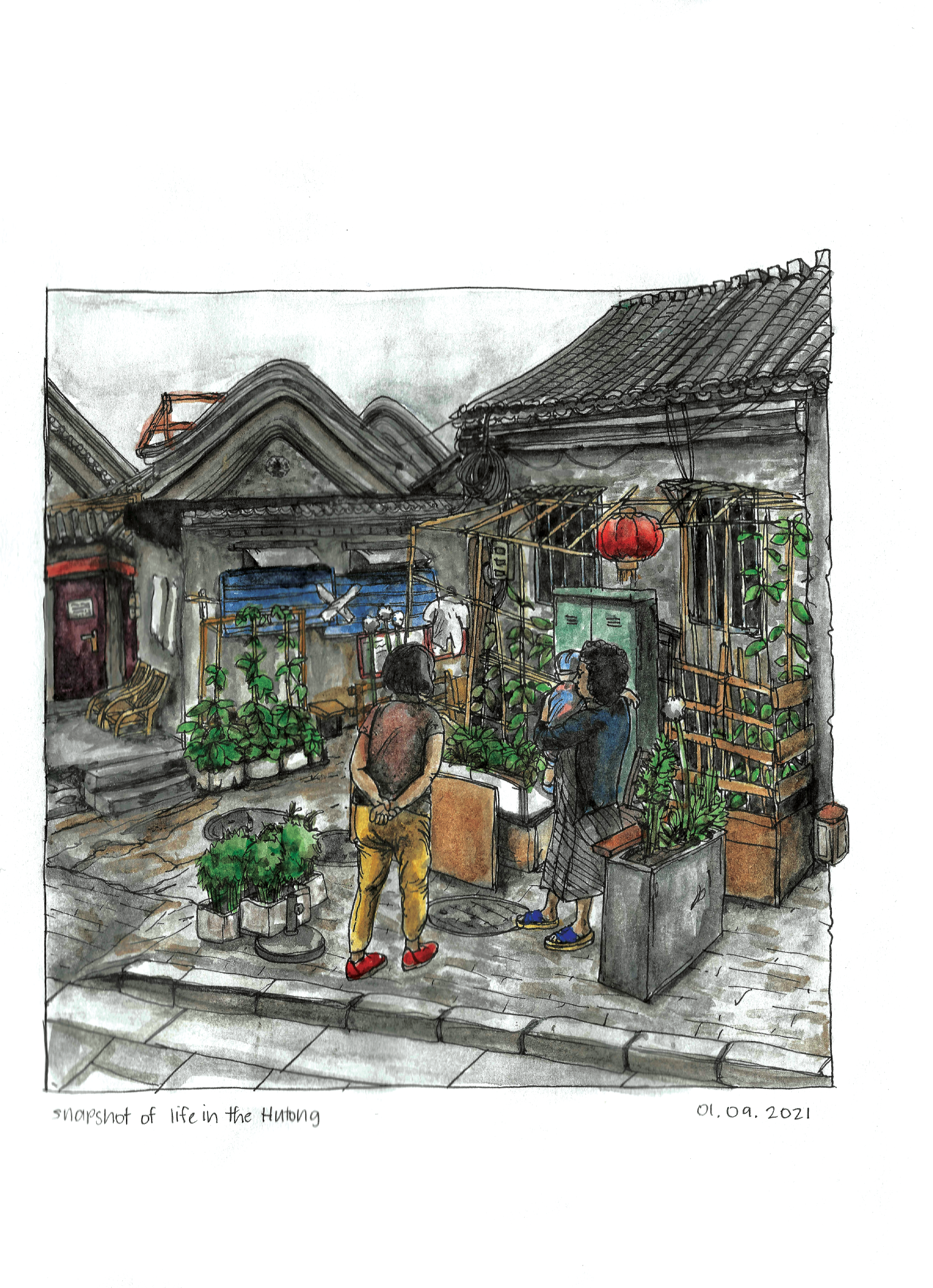 Watercolour illustration.