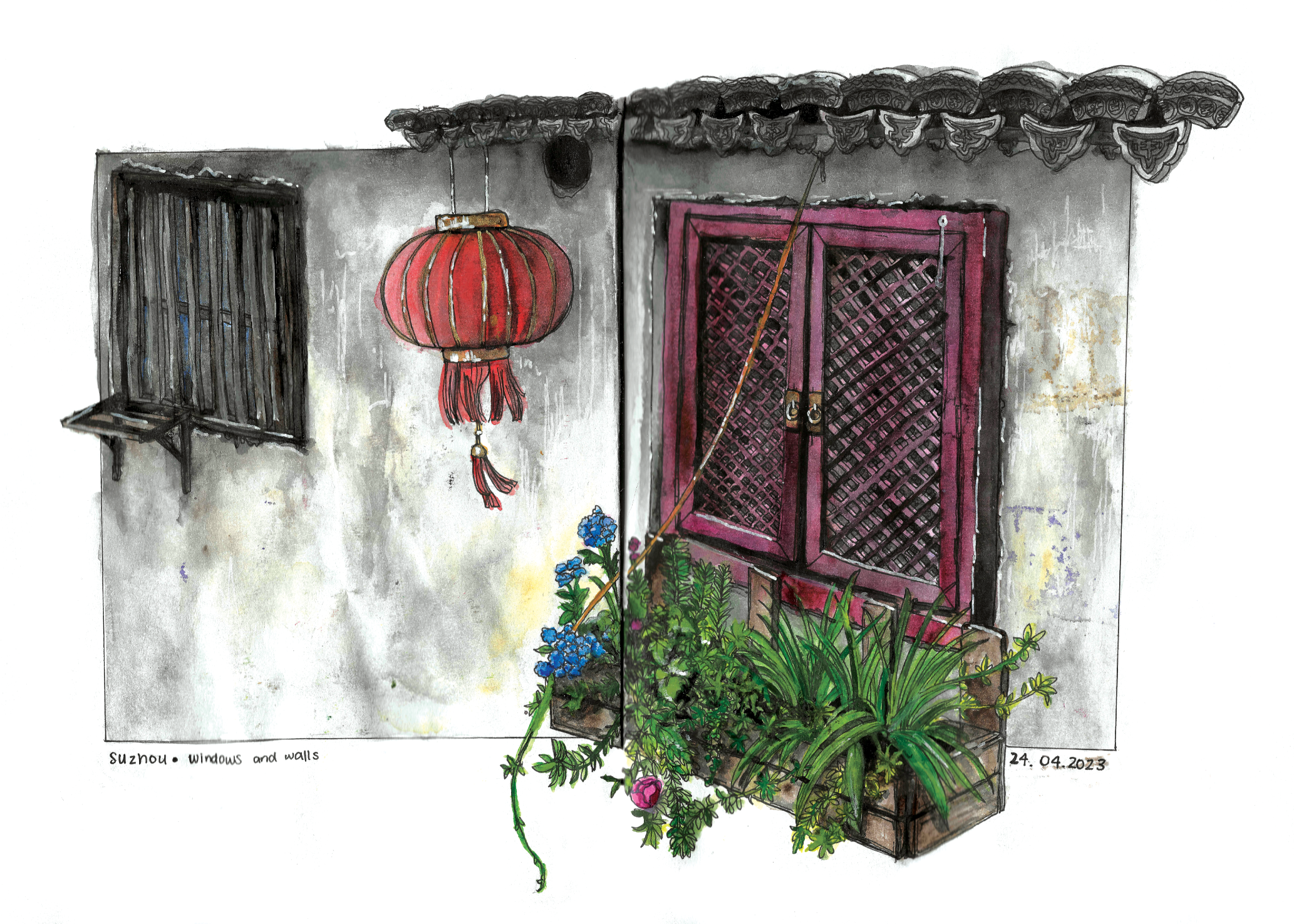Watercolour illustration.