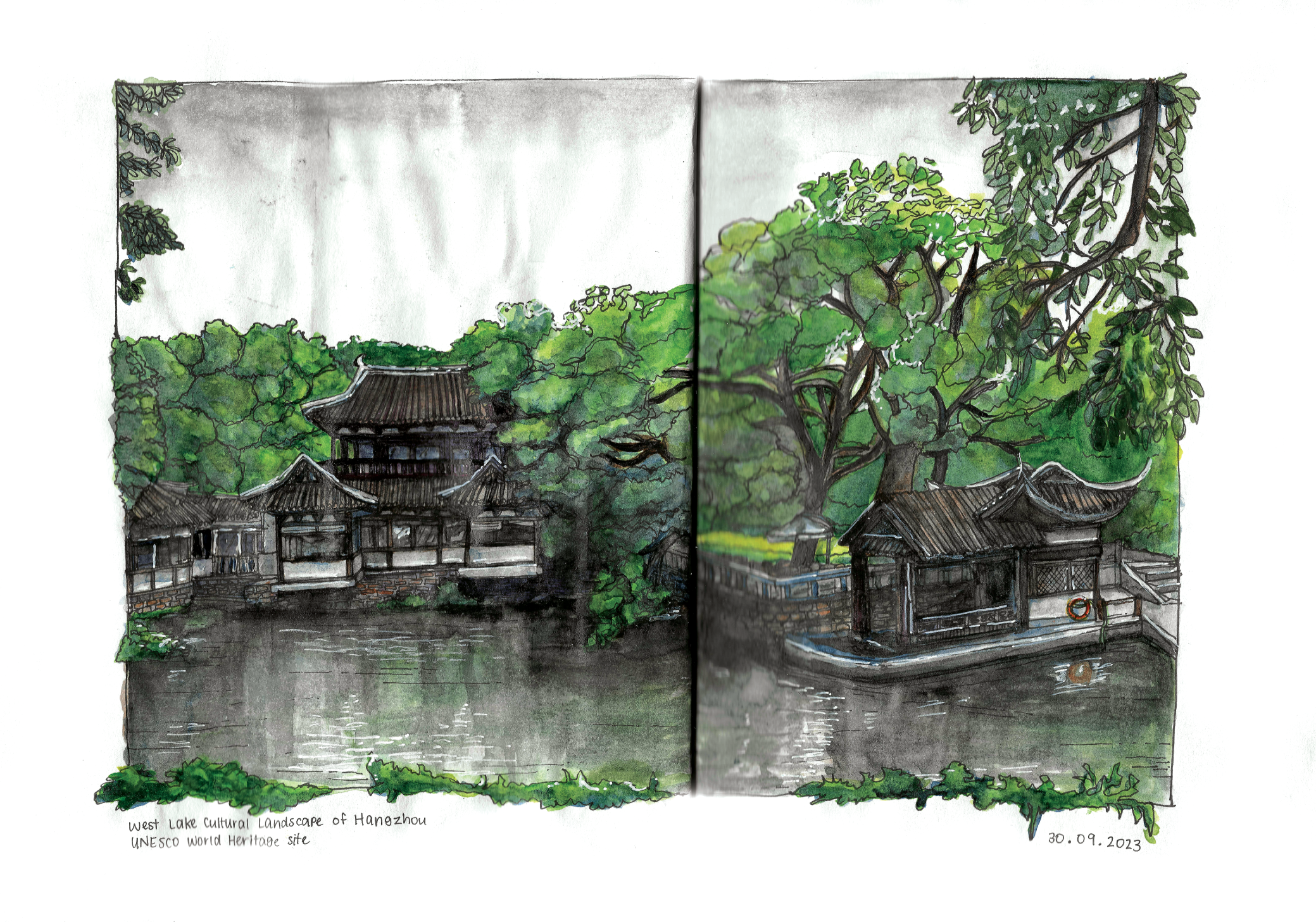 Watercolour illustration