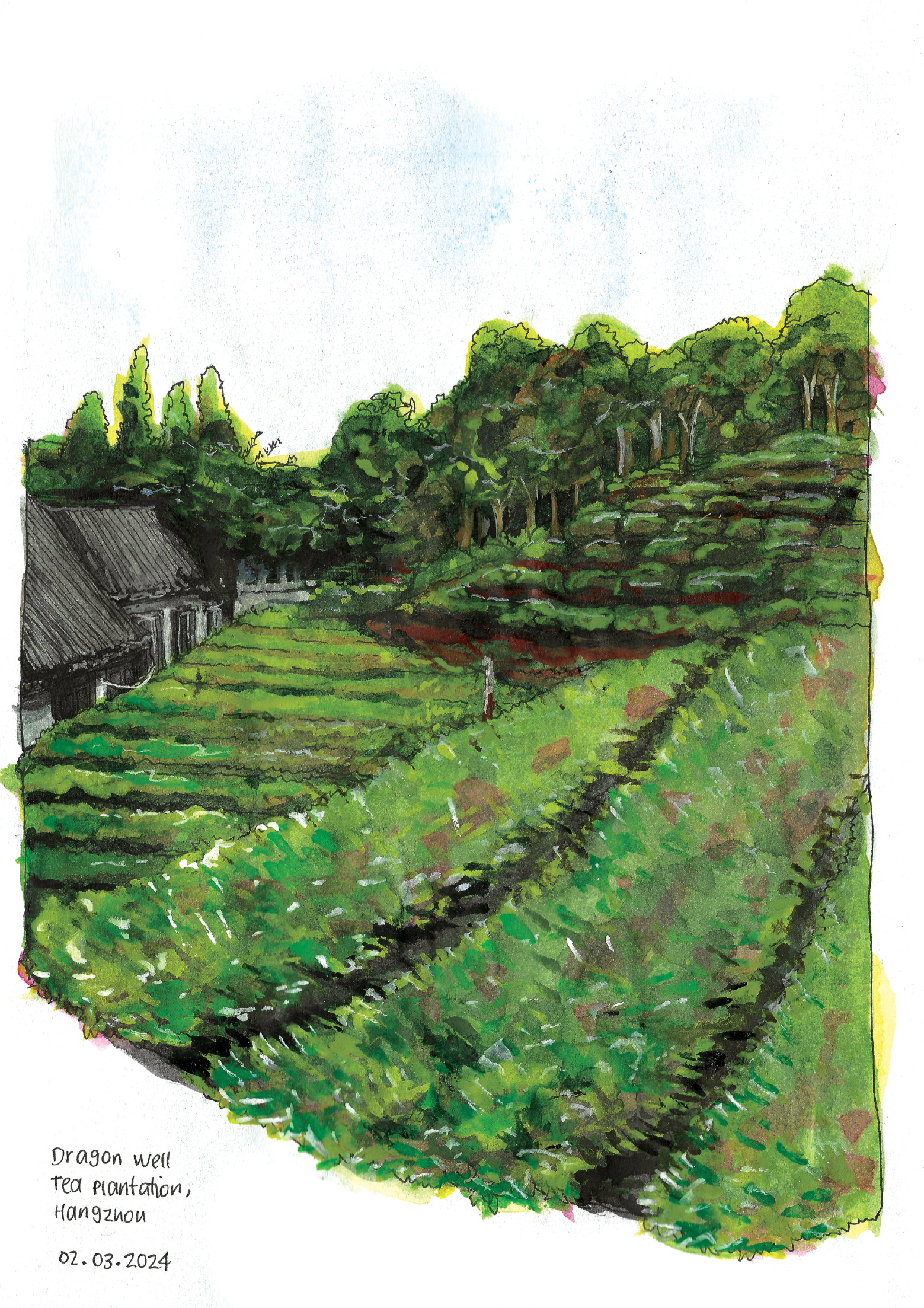 Watercolour illustration