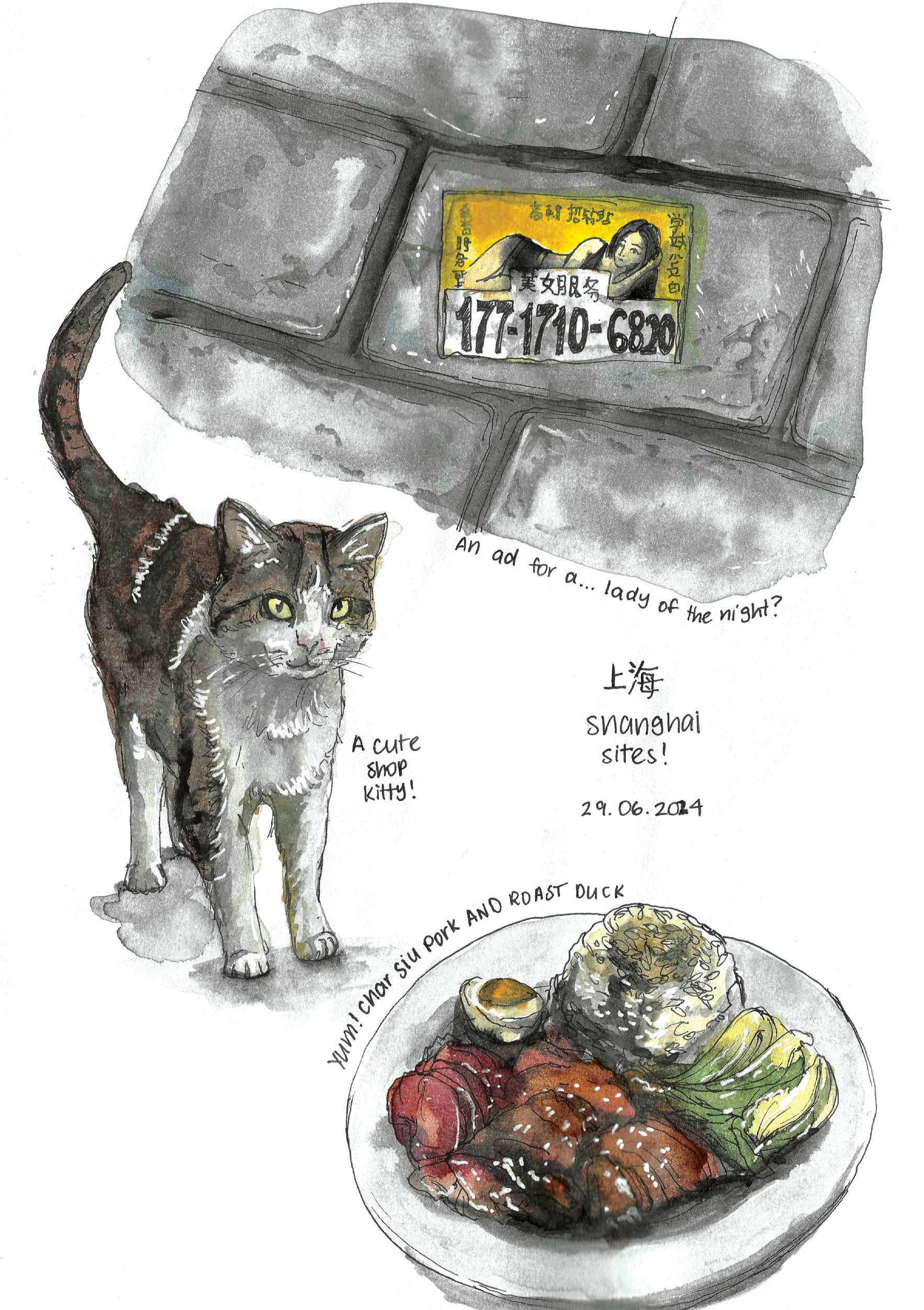 Watercolour illustration