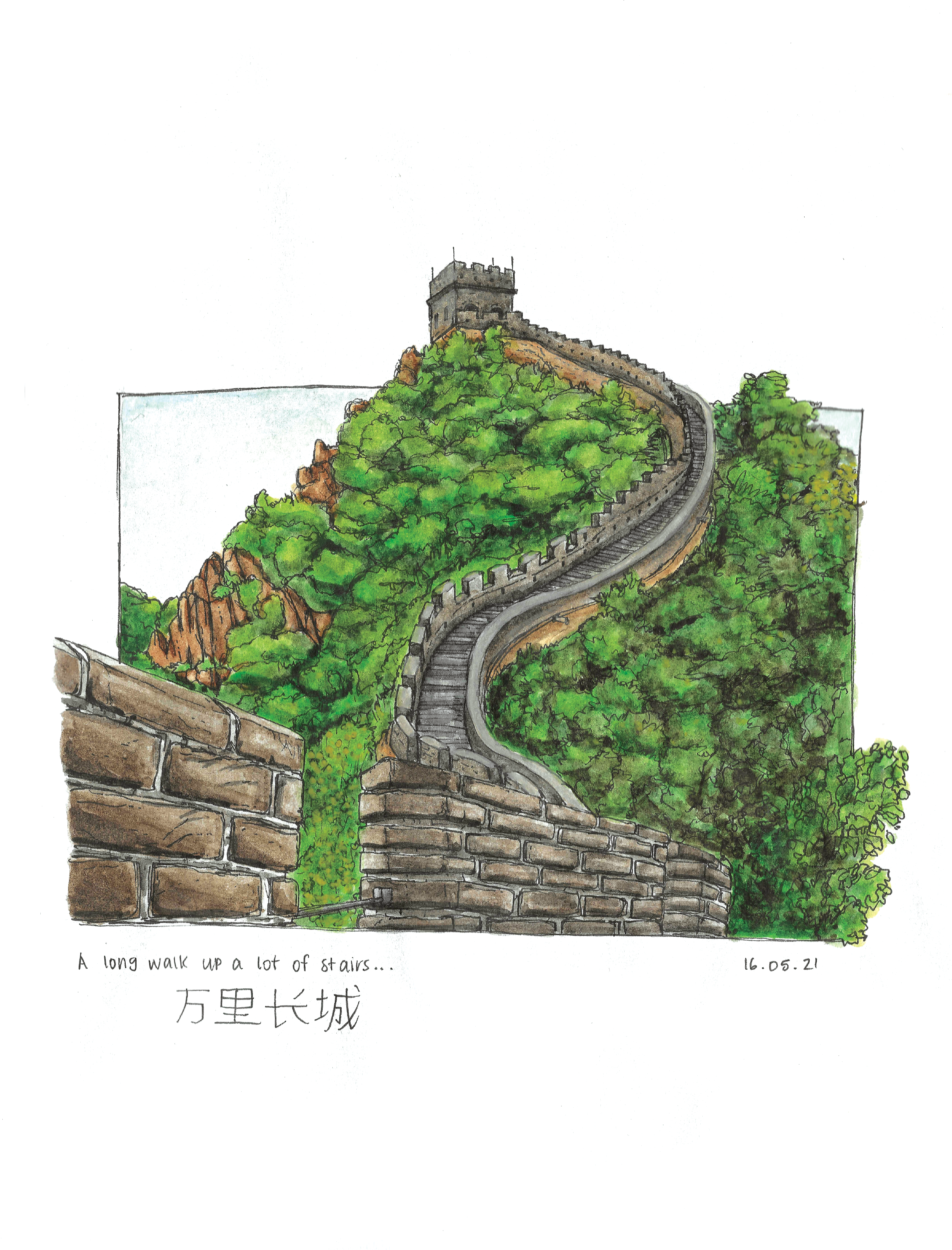 Watercolour illustration.