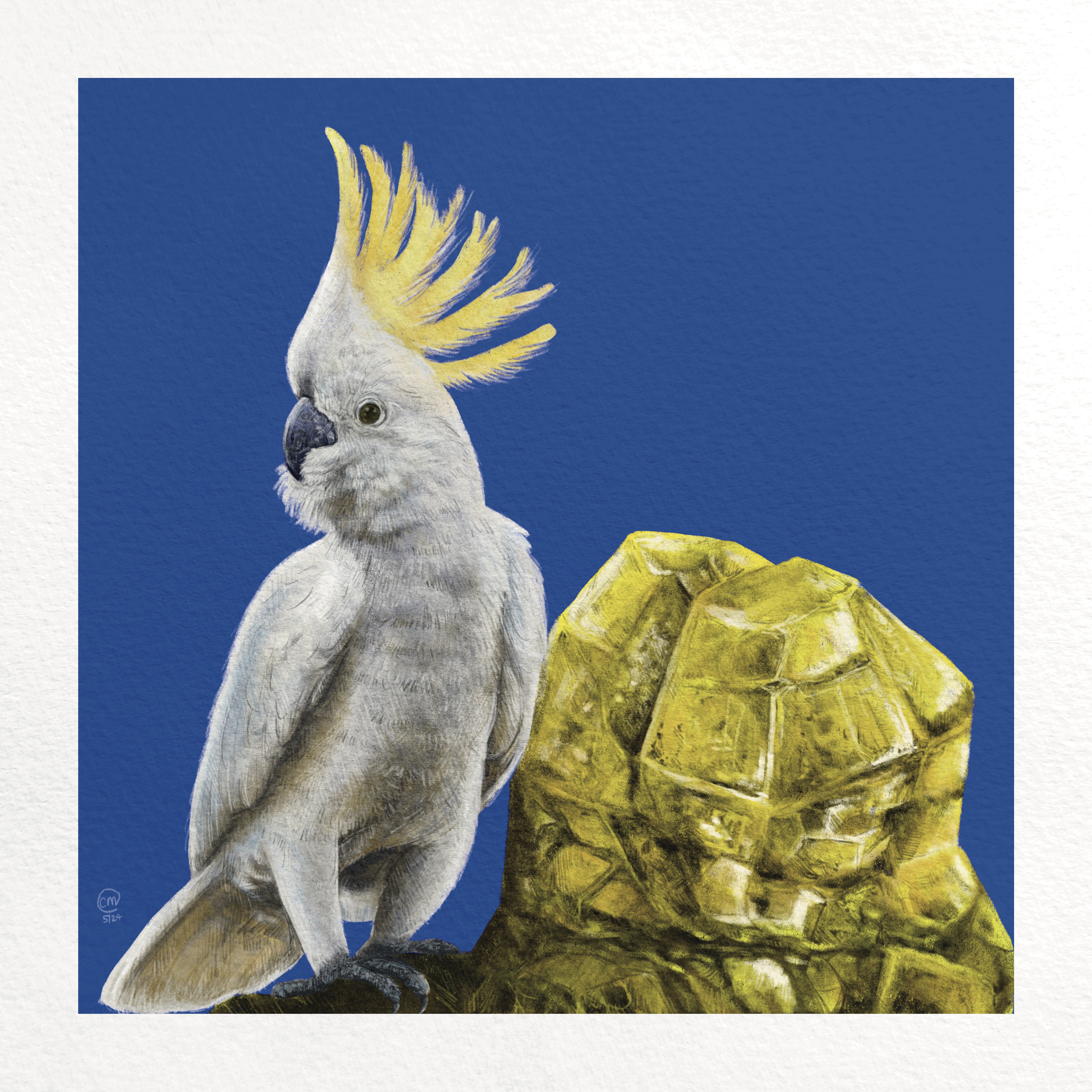 Digital painting of a bird and a crystal.