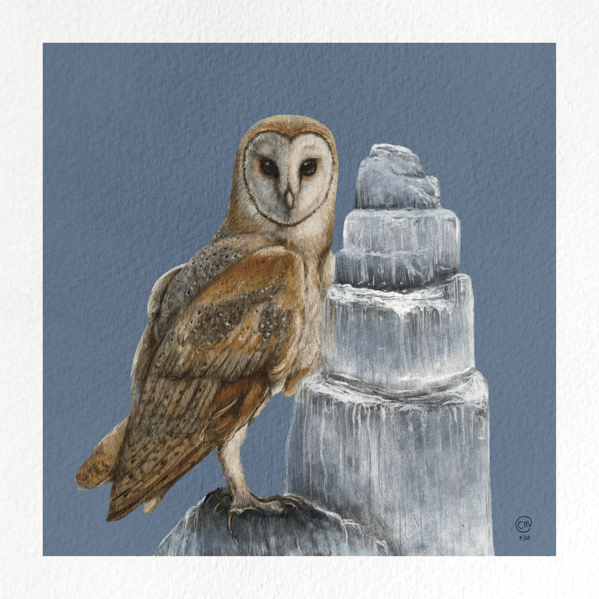 Digital painting of a bird and a crystal.