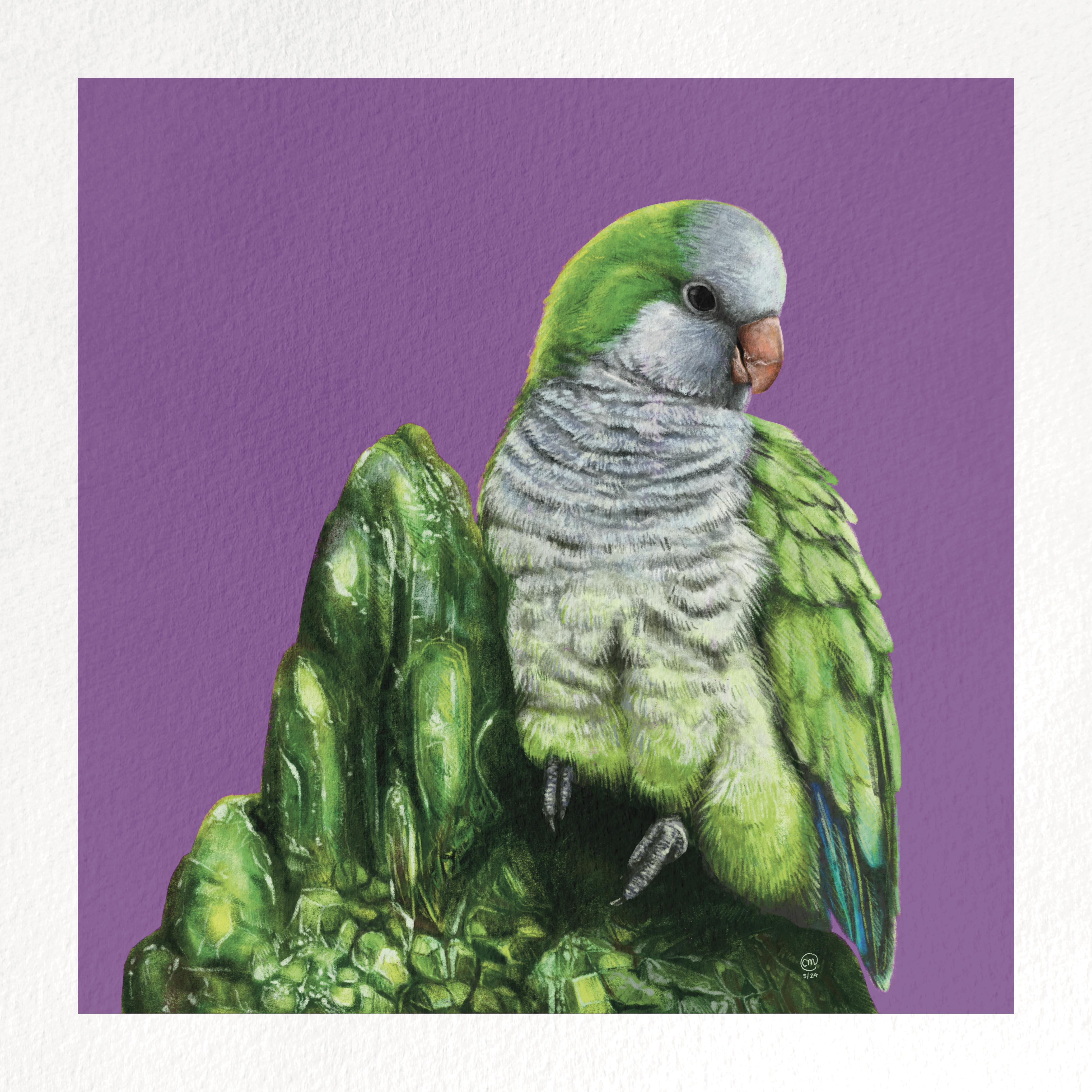 Digital painting of a bird and a crystal.